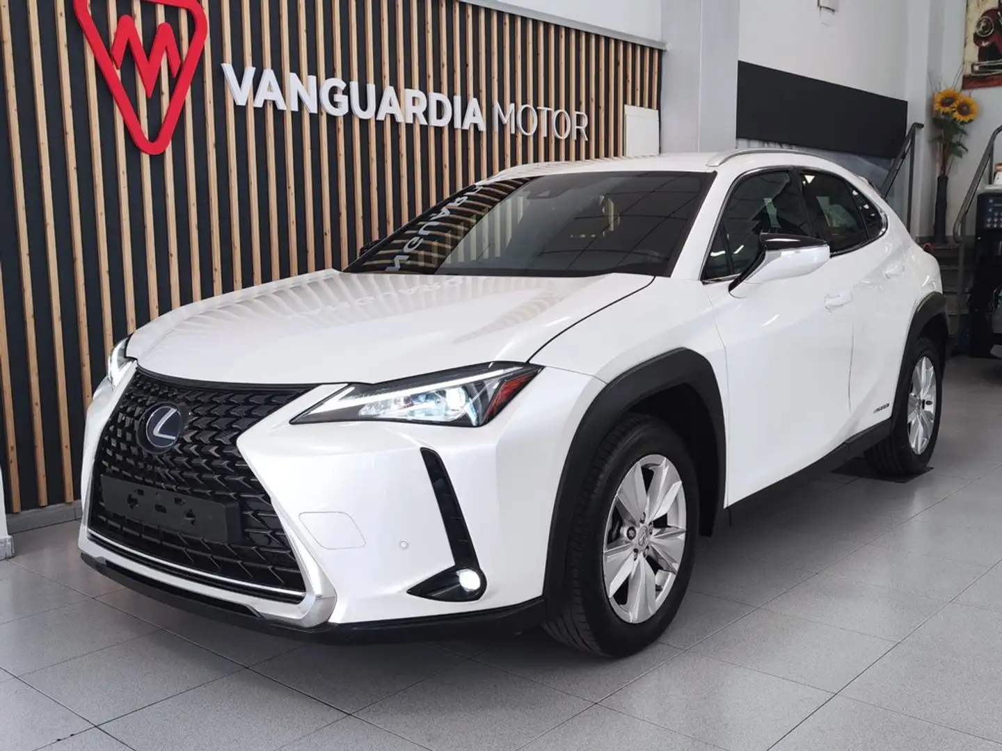 Lexus UX 250h 2.0 Business Navigation Weiß - 1