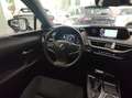 Lexus UX 250h 2.0 Business Navigation Weiß - thumbnail 12