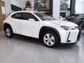 Lexus UX 250h 2.0 Business Navigation Weiß - thumbnail 2