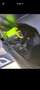Yamaha X-Max 400 Gris - thumbnail 5