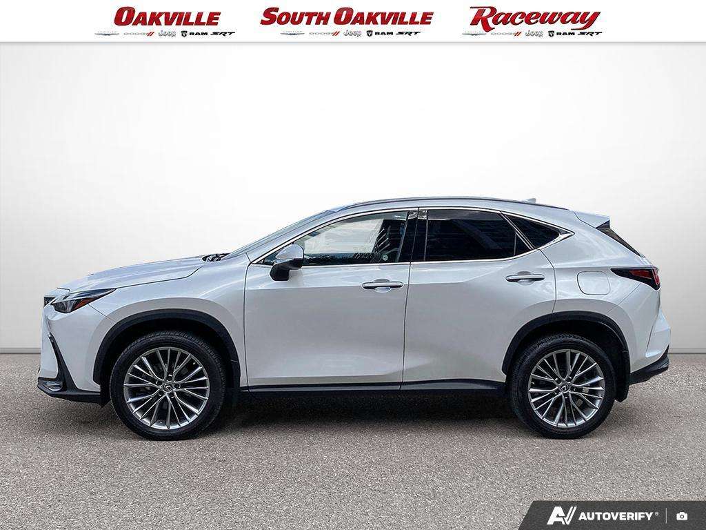 2022 Lexus NX