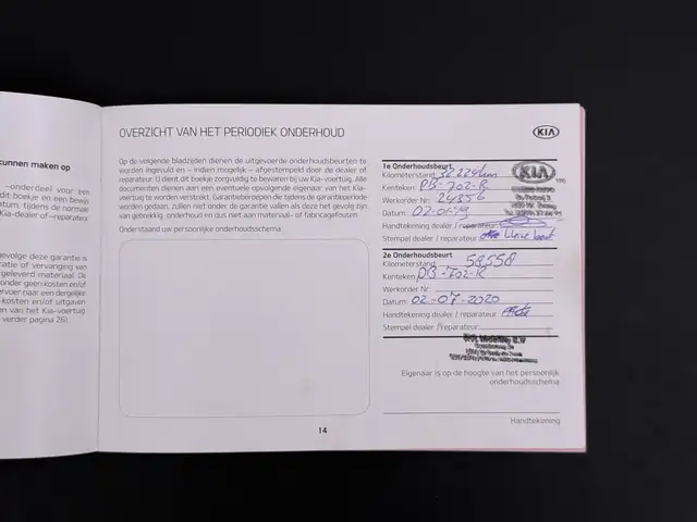 Kia Niro view 21