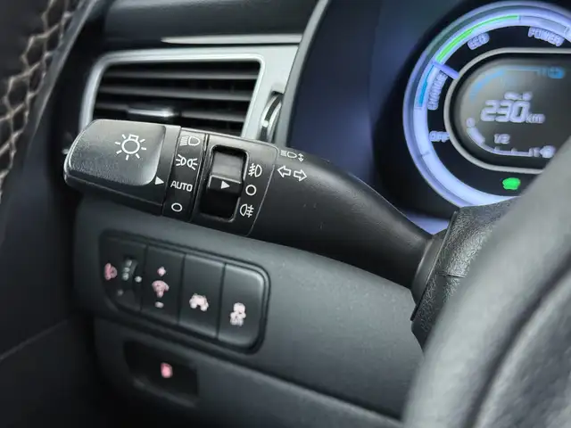 Kia Niro view 29