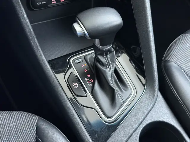 Kia Niro view 19