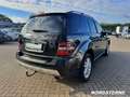 Mercedes-Benz ML 500 ML 500 4Matic AHK+KAMERA+MEMORY+EL.SITZE+PANO Schwarz - thumbnail 9