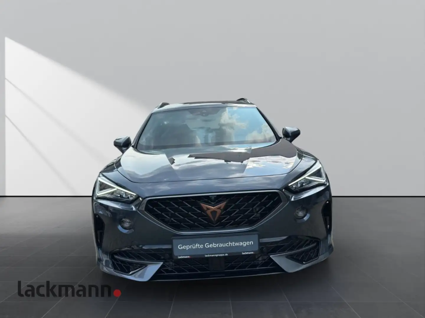 CUPRA Formentor 2.0 VZ 4Drive*Beats*360*Winter*CarPlay* Grau - 2