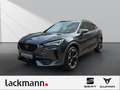 CUPRA Formentor 2.0 VZ 4Drive*Beats*360*Winter*CarPlay* Grau - thumbnail 1