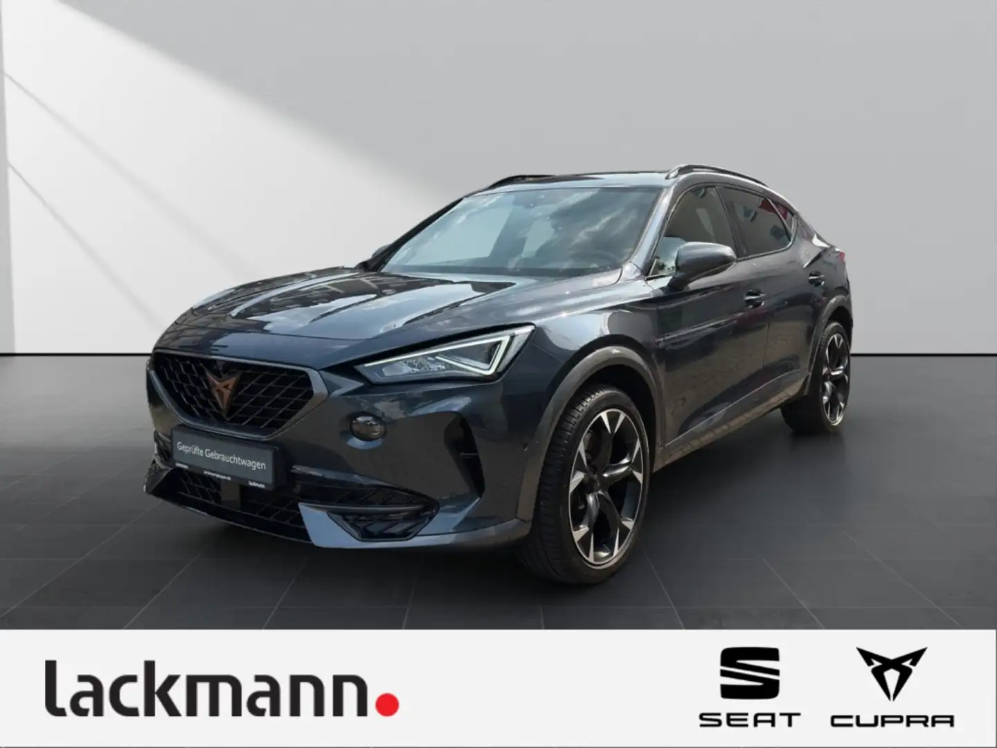 CUPRA Formentor 2.0 VZ 4Drive*Beats*360*Winter*CarPlay* Grau - 1