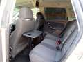 SEAT Altea 2.0TDI 140 4WD Alb - thumbnail 15