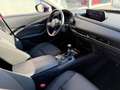 Mazda CX-30 CX-30 2.0 m-hybrid Homura 2wd 150cv 6mt Rosso - thumbnail 4