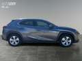 Lexus UX 250h UX 250 h 250h Amazing Edition AUT+Kamera+ACC+SHZ Gris - thumbnail 7