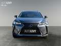 Lexus UX 250h UX 250 h 250h Amazing Edition AUT+Kamera+ACC+SHZ Gris - thumbnail 9