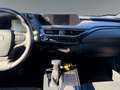 Lexus UX 250h UX 250 h 250h Amazing Edition AUT+Kamera+ACC+SHZ Gris - thumbnail 12