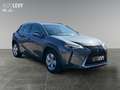 Lexus UX 250h UX 250 h 250h Amazing Edition AUT+Kamera+ACC+SHZ Gris - thumbnail 8