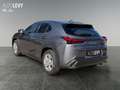 Lexus UX 250h UX 250 h 250h Amazing Edition AUT+Kamera+ACC+SHZ Gris - thumbnail 4