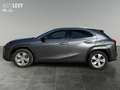 Lexus UX 250h UX 250 h 250h Amazing Edition AUT+Kamera+ACC+SHZ Gris - thumbnail 3