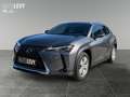 Lexus UX 250h UX 250 h 250h Amazing Edition AUT+Kamera+ACC+SHZ Gris - thumbnail 2