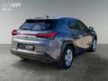 Lexus UX 250h UX 250 h 250h Amazing Edition AUT+Kamera+ACC+SHZ Gris - thumbnail 6
