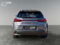 Lexus UX 250h UX 250 h 250h Amazing Edition AUT+Kamera+ACC+SHZ Gris - thumbnail 5