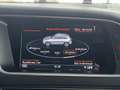 Audi SQ5 TDI V6 340 PLUS BVA8 QUATTRO TOIT PANORAMIQUE BI-XENON GPS CAMERA ATTELAGE KEYLESS BI-XENON REGU Noir - thumbnail 11