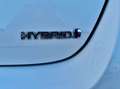 Toyota Auris hybrid 140H Feel! Edition Weiß - thumbnail 14