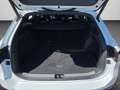 Volkswagen Passat Variant R-Line 2.0 TDI DSG AHK NAVI IQ-LI Weiß - thumbnail 15