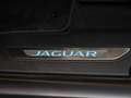 Jaguar F-Pace 25d AWD Prestige LEDER XENON NAVI PANO Grau - thumbnail 20