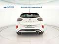 Ford Puma 1.0 ecoboost ST-Line s&s 125cv auto Bianco - thumbnail 6