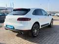 Porsche Macan S Diesel Navi Xenon Beyaz - thumbnail 5