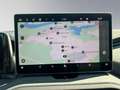 Skoda Kodiaq Kodiaq Kodiaq Kodiaq 2.0TDI DSG 4x4 Selec Grau - thumbnail 15