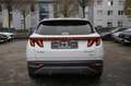 Hyundai TUCSON Trend Plug-In 4WD ACC LKA SHZ eHeckklappe Weiß - thumbnail 7