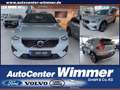 Volvo XC40 B4 B DKG Core Park+Winter+Licht uvm. Navi LED Gris - thumbnail 1