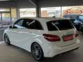 Mercedes-Benz B 200 ATG AMG-Line *AHK*SHZ*PAN*NAV*LED*PDC*RK* Weiß - thumbnail 3