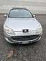Peugeot 407 407 2008 SW 2.0 hdi 16v Business Ciel 163cv auto Grigio - thumbnail 2