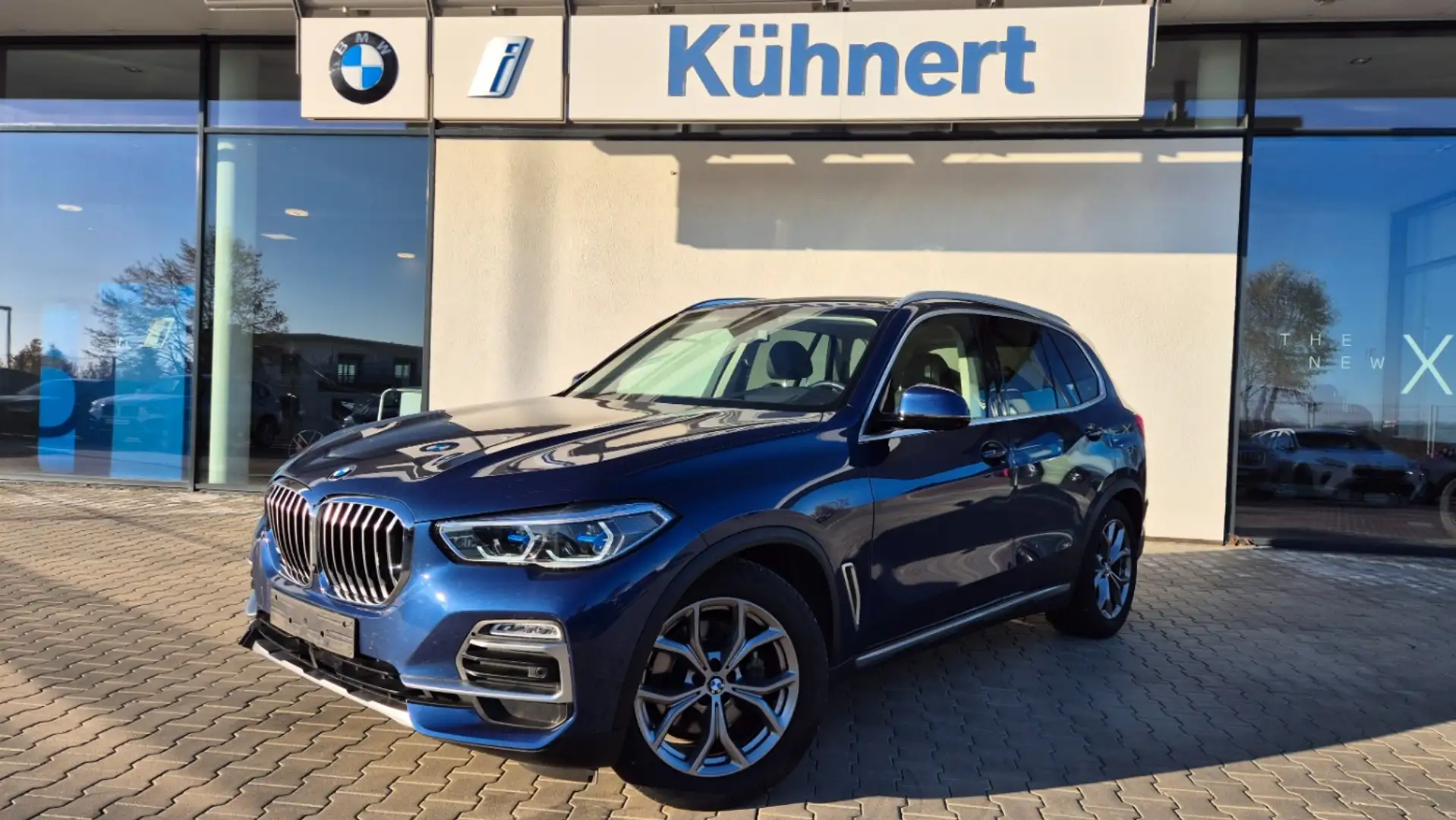 BMW X5 xDrive30d xLine Bleu - 1