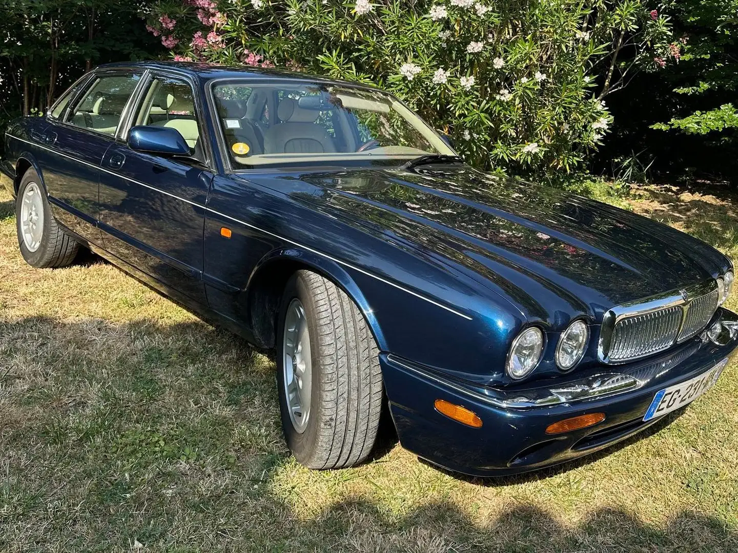 Jaguar XJ8 Bleu - 2