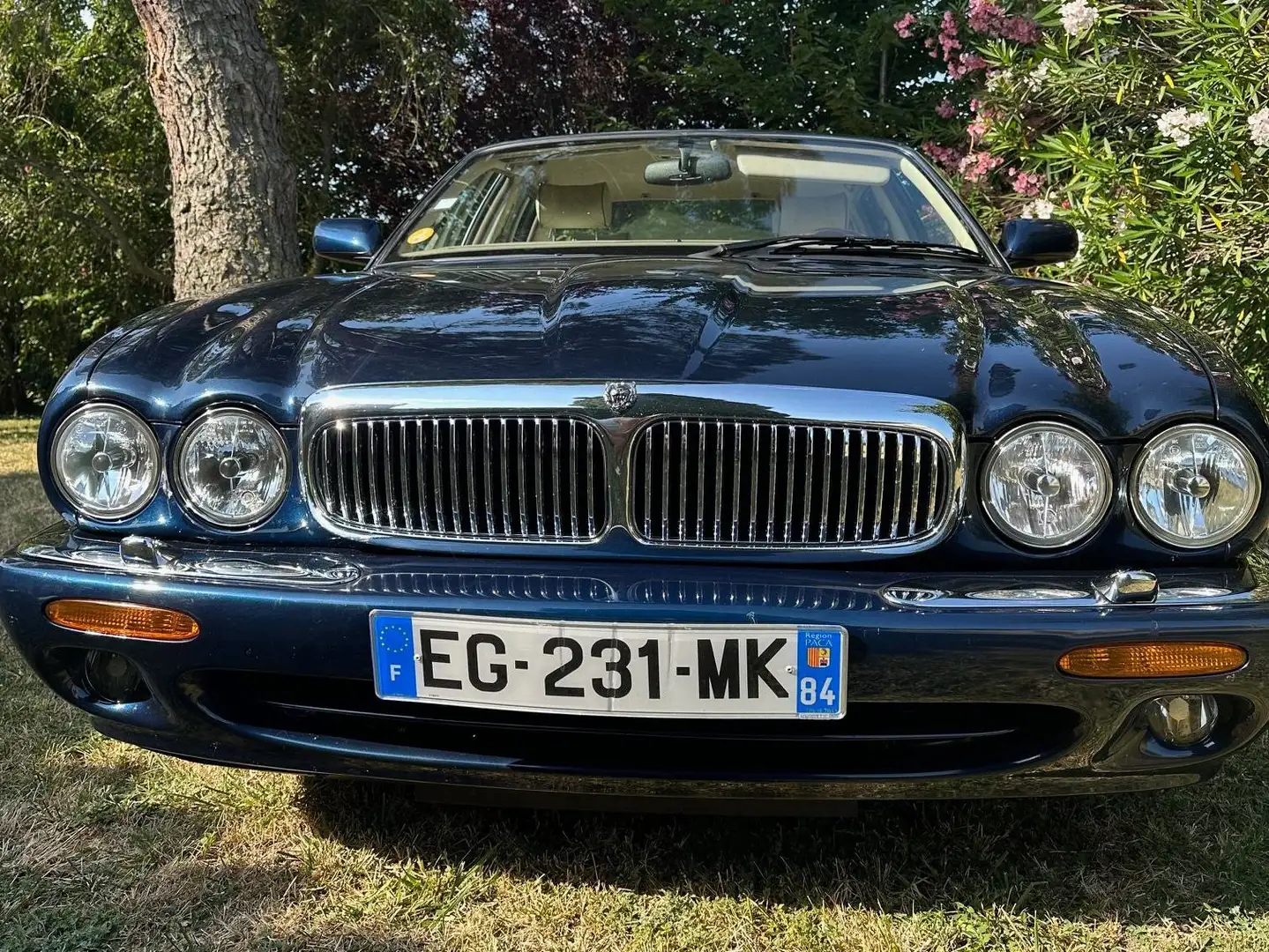 Jaguar XJ8 Bleu - 1