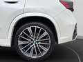 BMW X1 xDrive23d M Sport Anhängerk. Panorama DrivingAssis Weiß - thumbnail 11