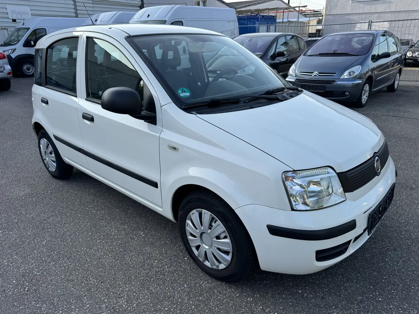 Fiat Panda 1.2 8V Classic. TÜV Neue Weiß - 2