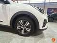 Kia Niro 1.6 HEV Drive Blanco - thumbnail 25
