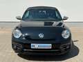 Volkswagen Beetle Cabriolet 2,0 TDI Design  Navi Sitzh. Schwarz - thumbnail 5