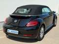 Volkswagen Beetle Cabriolet 2,0 TDI Design  Navi Sitzh. Schwarz - thumbnail 7