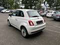Fiat 500 1.0 GSE N3 Hybrid DOLCEVITA Weiß - thumbnail 3