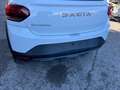 Dacia Sandero Sandero Stepway 1.0 tce Extreme Eco-g 100cv DIVCOL Blanc - thumbnail 10