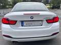 BMW 430 430d Cabrio Aut. Sport Line LCI Weiß - thumbnail 5