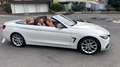 BMW 430 430d Cabrio Aut. Sport Line LCI Weiß - thumbnail 10
