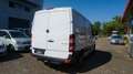 Mercedes-Benz Sprinter II Kasten 210 CDI 1-HD*KLIMA*TOTW*SPUR! Weiß - thumbnail 7