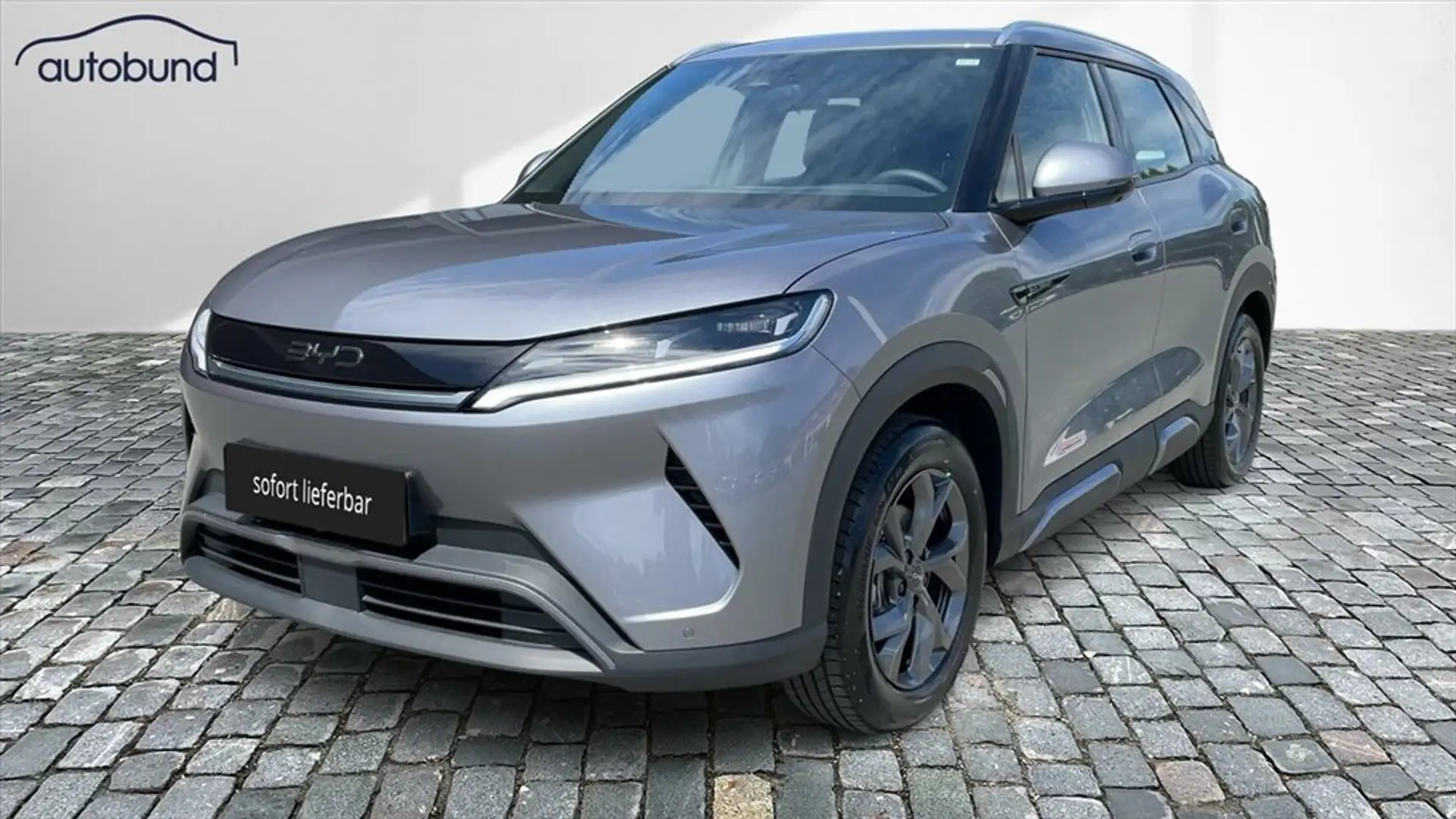 BYD Atto 2 Boost Panorama 360 WaePu NFC Gris - 1