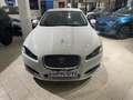 Jaguar XF XF I 2013 Berlina 2.2d Premium Luxury 200cv auto Blanc - thumbnail 1