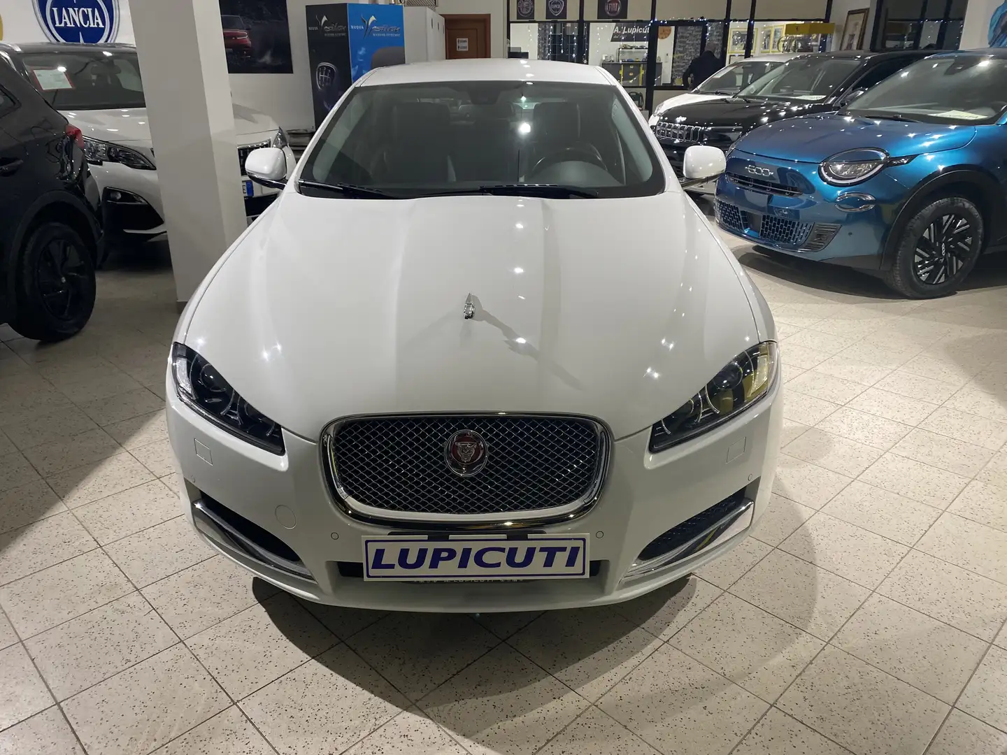 Jaguar XF XF I 2013 Berlina 2.2d Premium Luxury 200cv auto Blanc - 1